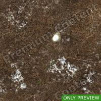 PBR substance preview forest ground snowy 0004